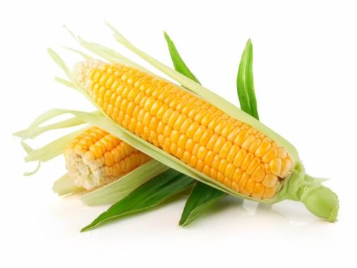 Corn