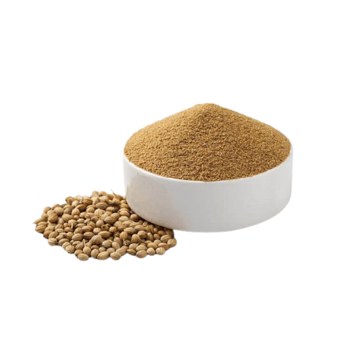 Coriander